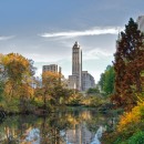 New York City Park Pleasures